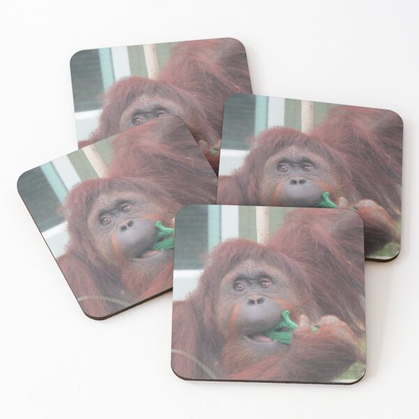 Item preview, Orangutan Lucy at the National Zoo designed and sold by Zoo and Nature Photography by Karie.