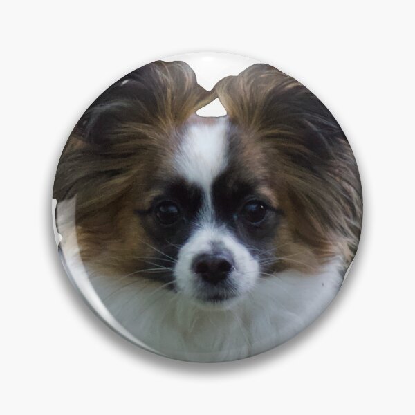 Item preview, Cute papillion designed and sold by kamrynandshade.