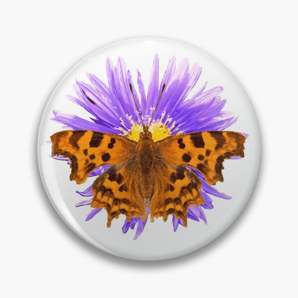 Comma Butterfly Pin