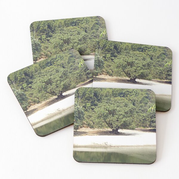 Item preview, Trees Wood Riverbank, India designed and sold by worldways.