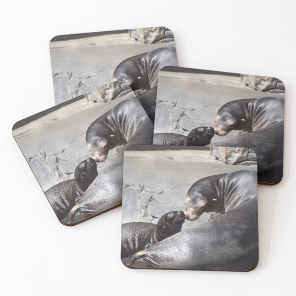 Item preview, Sea Lions at the National Zoo designed and sold by Zoo and Nature Photography by Karie.