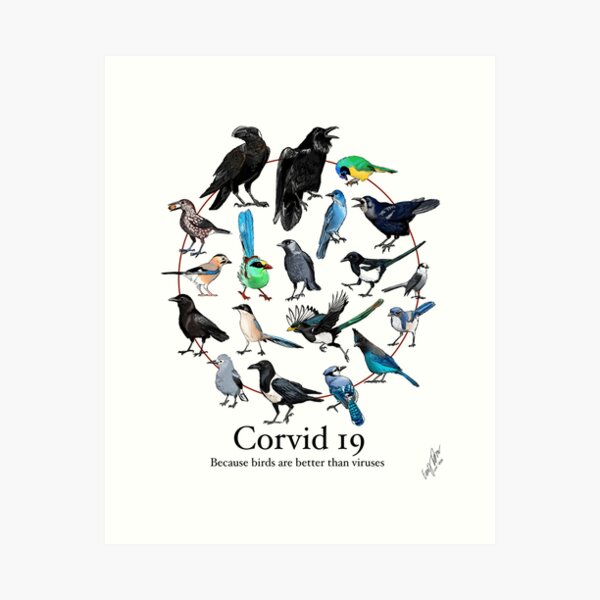 Item preview, Corvid-19 designed and sold by BarefootSeeker.