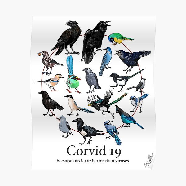 Corvid-19 Poster