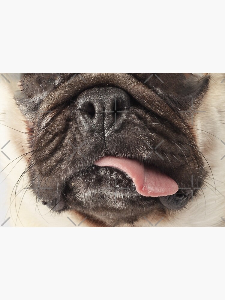 Pug face by muskitt