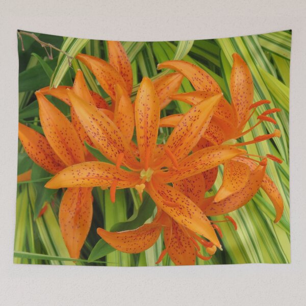 Item preview, Specks And Stripes designed and sold by shutterbug2010.