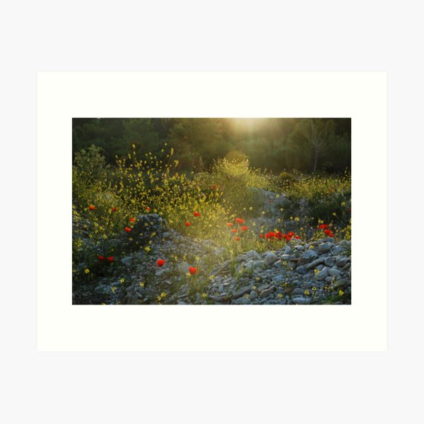 golden Art Print