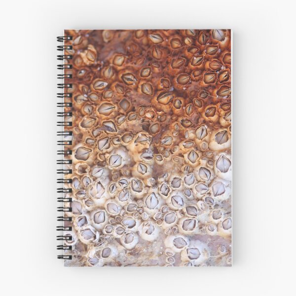 Item preview, Barnacles Covered in Rust designed and sold by Gwenn Seemel.