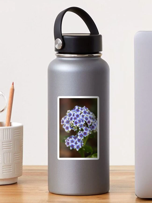 Thumbnail 1 von 3, Sticker, Chatham Island Forget-Me-Not designt und verkauft von coffeebean.