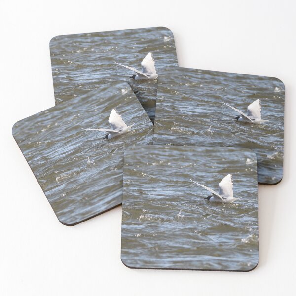 Item preview, Bonaparte Gull Seven designed and sold by Susie Kramer.