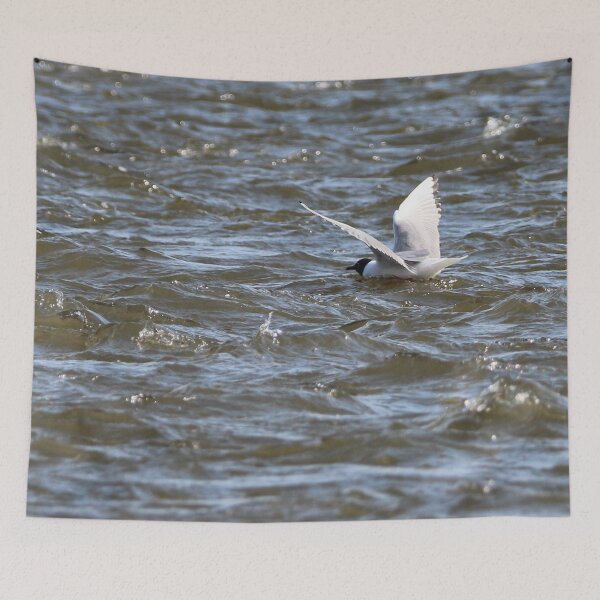 Item preview, Bonaparte Gull Seven designed and sold by Susie Kramer.