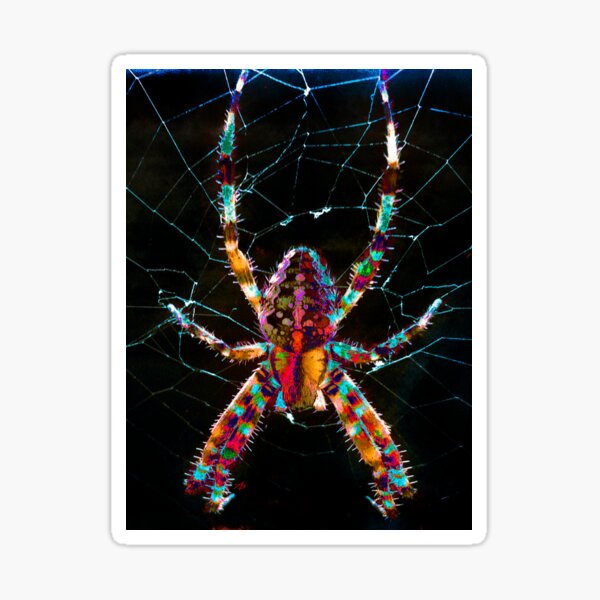 SPIDER Sticker