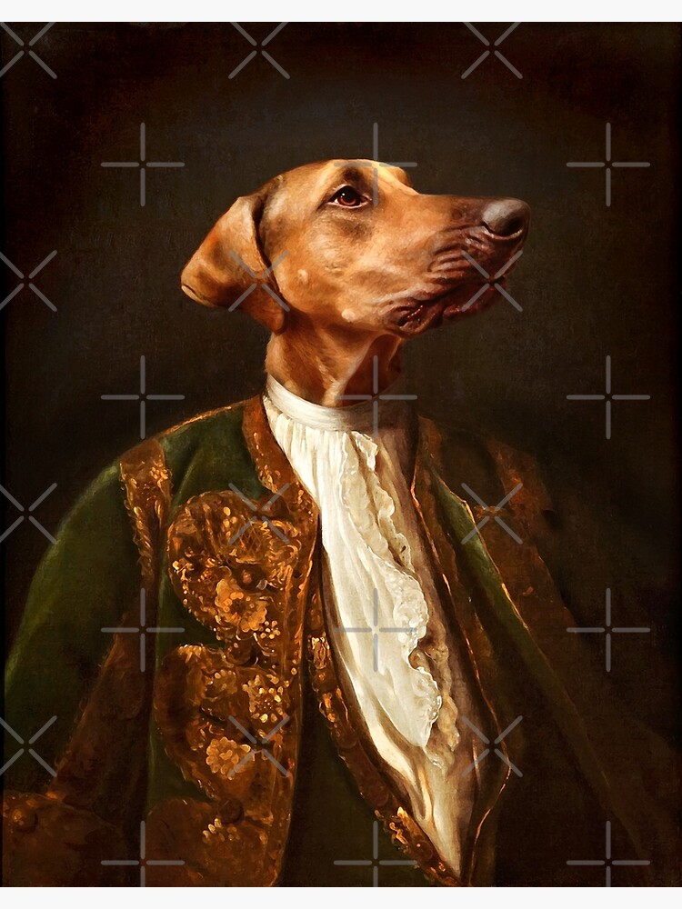 Weimaraner Portrait - Scrappy by carpo17