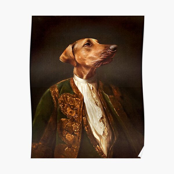 Weimaraner Portrait - Scrappy Poster