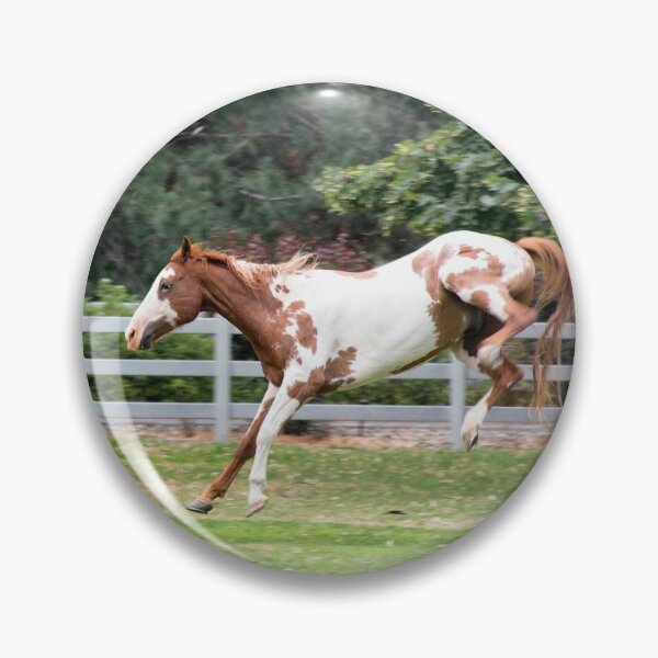 Artikelvorschau, Springendes Pony entworfen und verkauft von MoreGoodArt.
