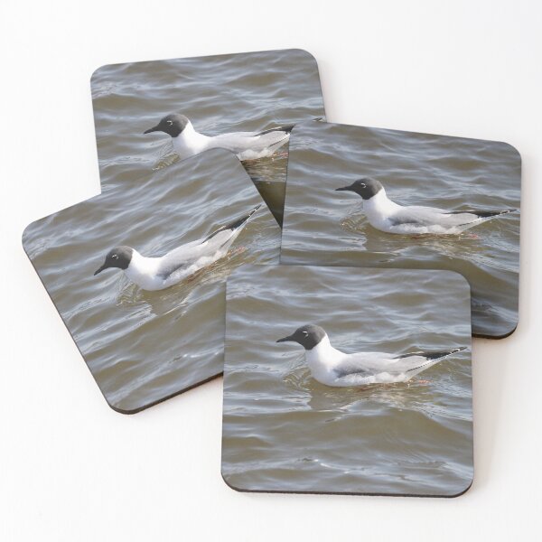 Item preview, Bonaparte Gull Nine designed and sold by Susie Kramer.