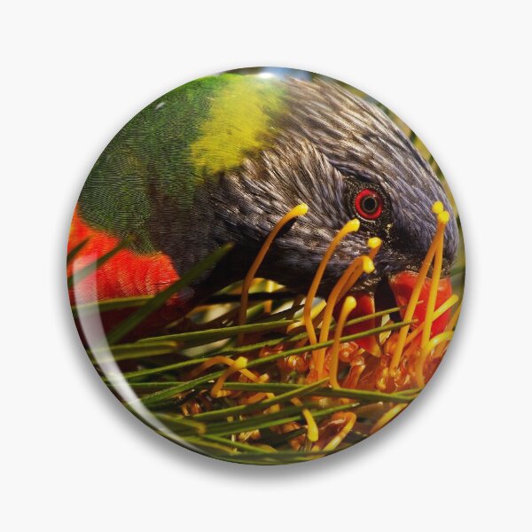 Item preview, Rainbow Lorikeet and Grevillea Honey Gem designed and sold by Ohlordi.