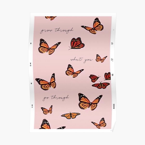 grow through what you go through Poster