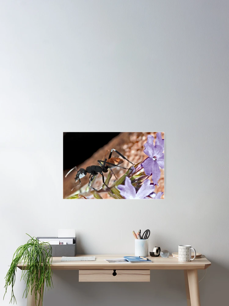 Thumbnail 2 of 3, Poster, Going down!! designed and sold by Rina Greeff.