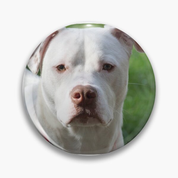 Item preview, Young Pitbull designed and sold by MoreGoodArt.
