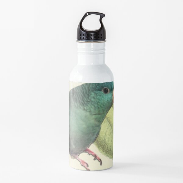 Linnie logo on vintage hardwood background Water Bottle