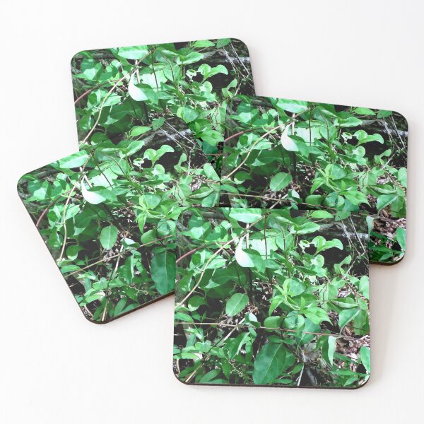 Item preview, Afuera en el bosque designed and sold by Jaroffaith.