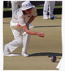 M.B.A. Bowler no. d040 Poster