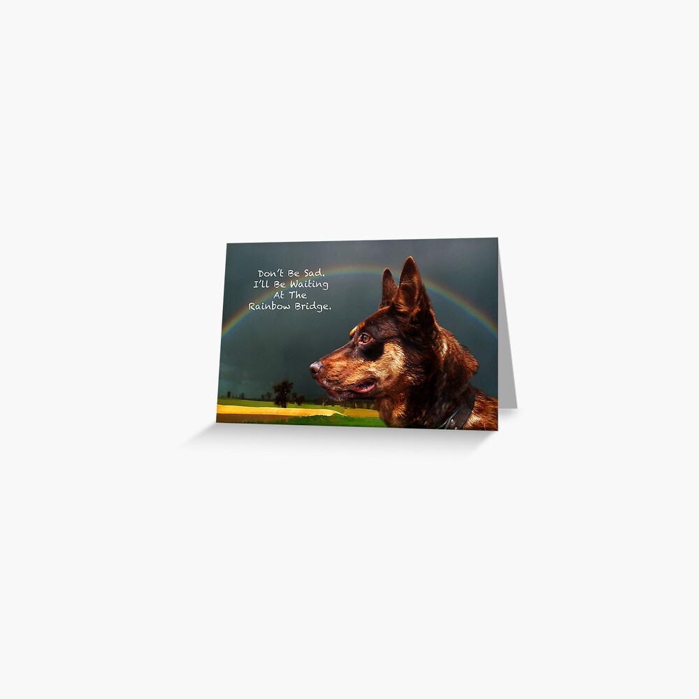 Sympathy Card For Loss Of Pet Dog Greeting Card