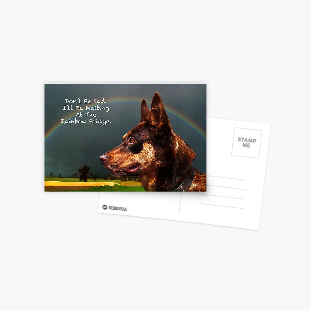 Sympathy Card For Loss Of Pet Dog Postcard