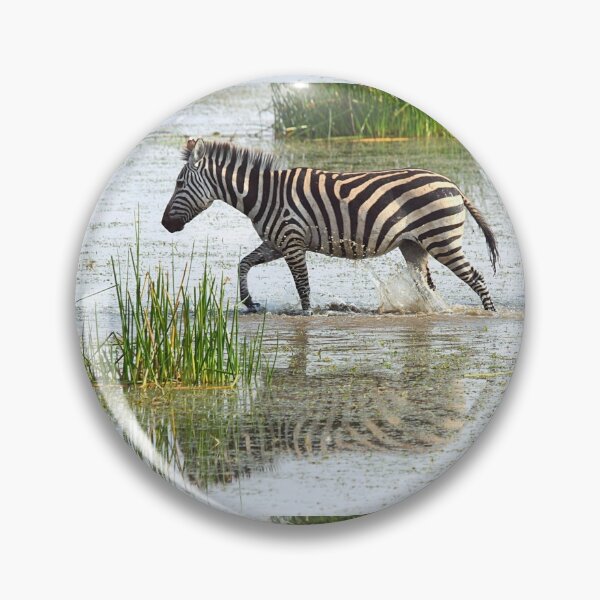 Item preview, Solo Zebra Crossing, Amboseli, Kenya designed and sold by Carole-Anne.