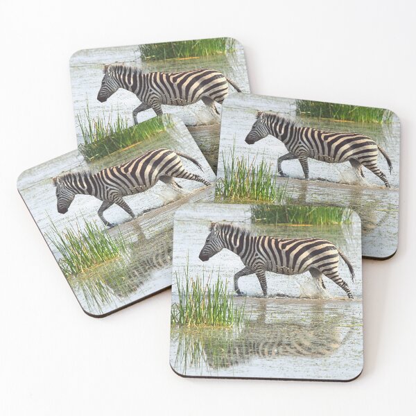 Item preview, Solo Zebra Crossing, Amboseli, Kenya designed and sold by Carole-Anne.