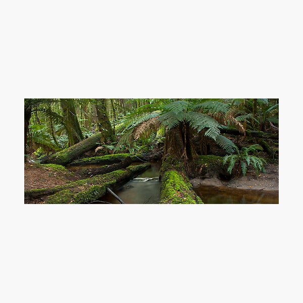 Item preview, Cumberland Creek  designed and sold by Timo Balk.