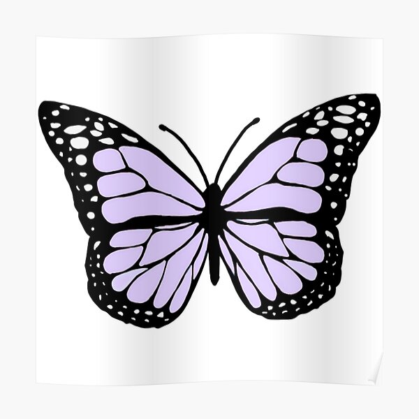 lavender butterfly Poster