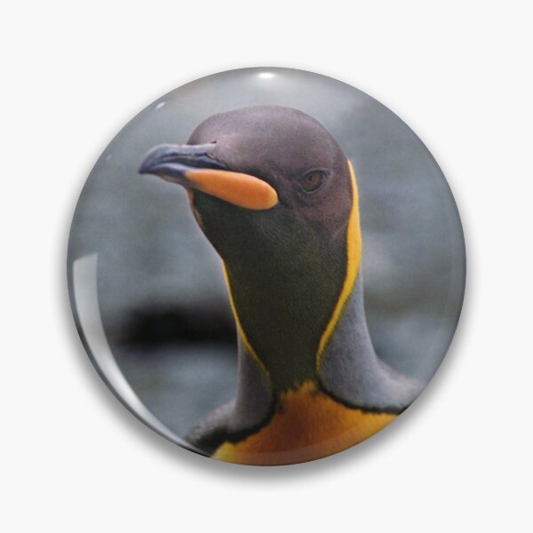Artikelvorschau, King Penguin Up Close & Personal entworfen und verkauft von Carole-Anne.