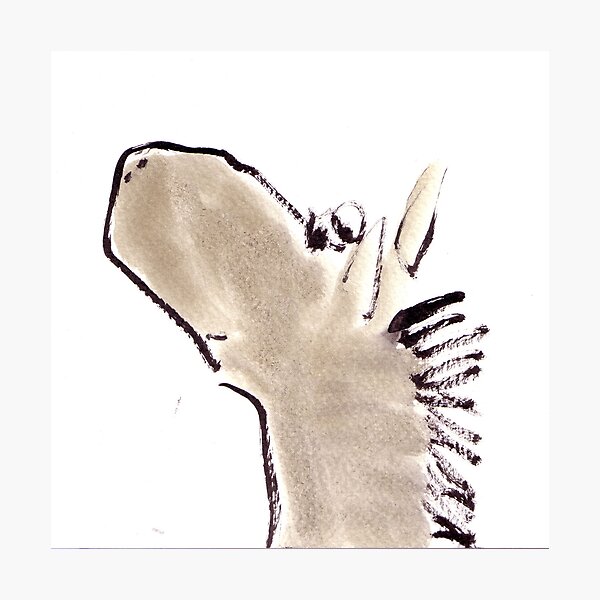 Horse Photographic Print