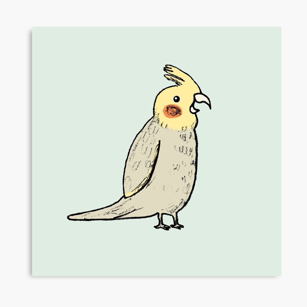 happy cockatiel