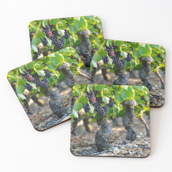 Item preview, First morning lights on vineyards designed and sold by Gaël FONTAINE.