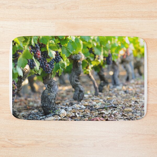 Item preview, First morning lights on vineyards designed and sold by Gaël FONTAINE.