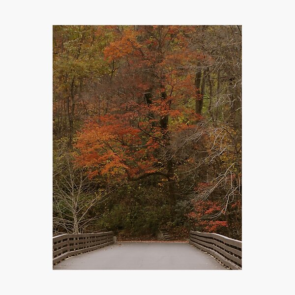 Item preview, Bridge to the Fall Foliage designed and sold by ishotit4u.