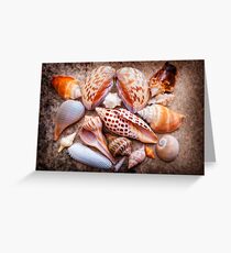 Seashells of Sanibel Island Greeting Card