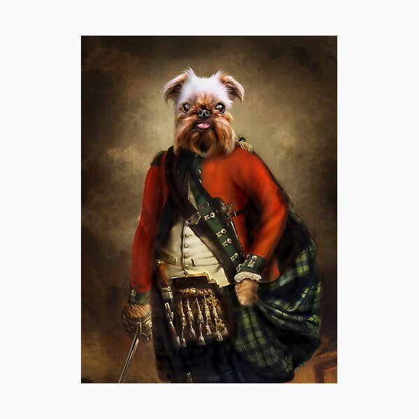 Griffon Bruxellois Dog Portrait - Jack Photographic Print