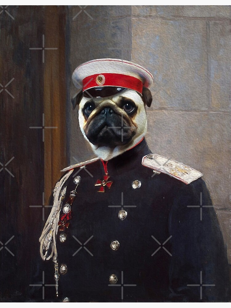 Pug Dog Portrait - Harry by carpo17