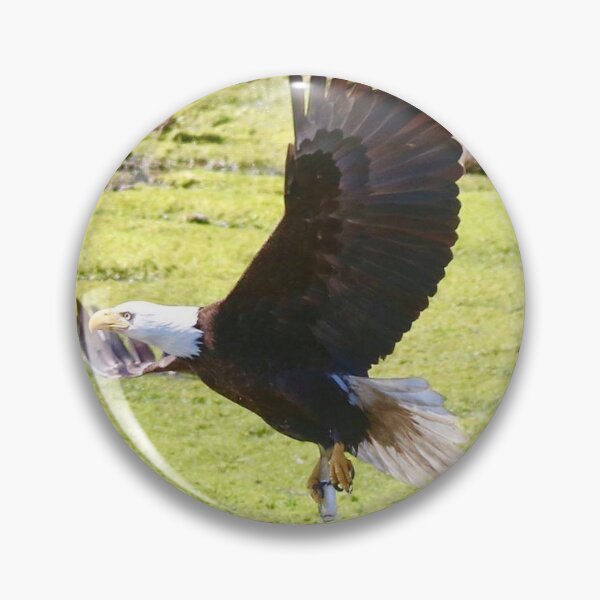 Item preview, Bald Eagle in Flight  designed and sold by Penwortham.