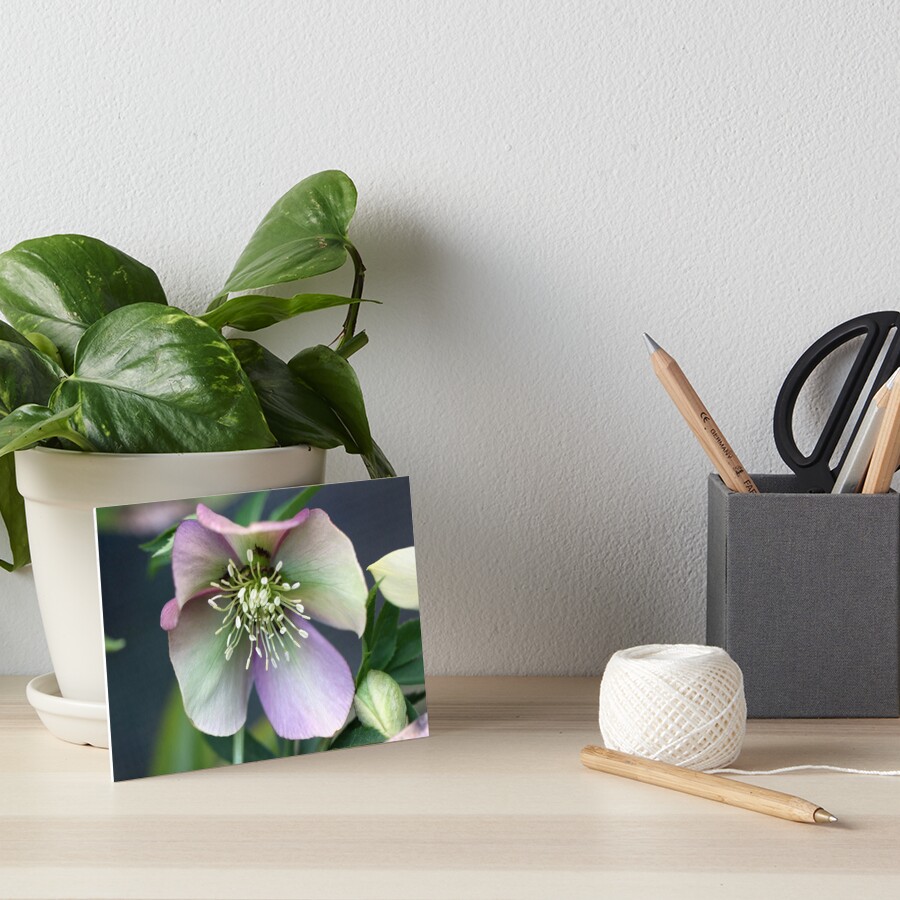 Item preview, Art Board Print designed and sold by coffeebean.