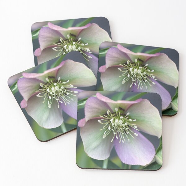 Item preview, How Beautiful designed and sold by coffeebean.