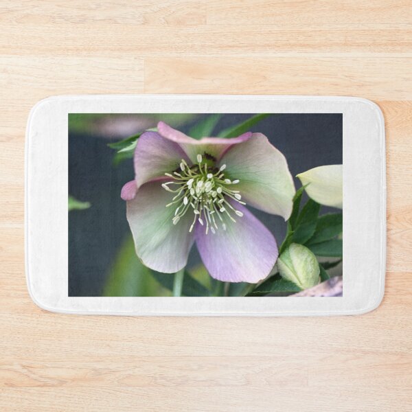 Item preview, How Beautiful designed and sold by coffeebean.