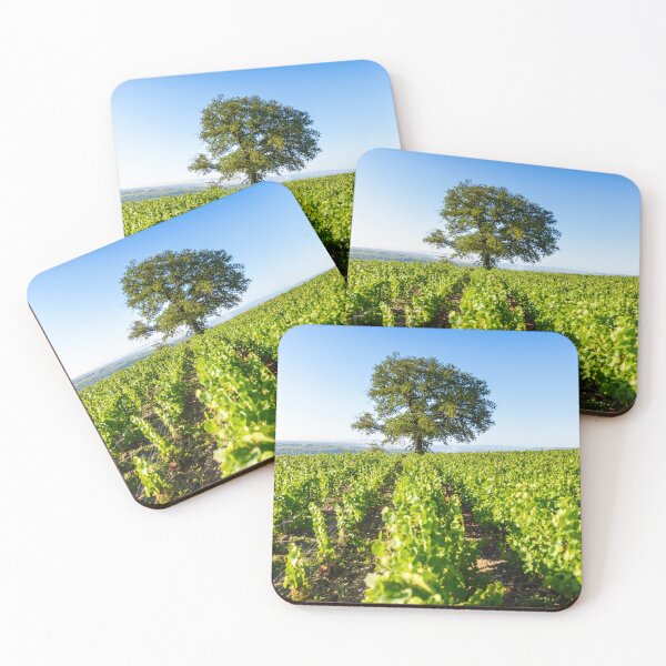 Item preview, Morgon and Py oak tree designed and sold by Gaël FONTAINE.