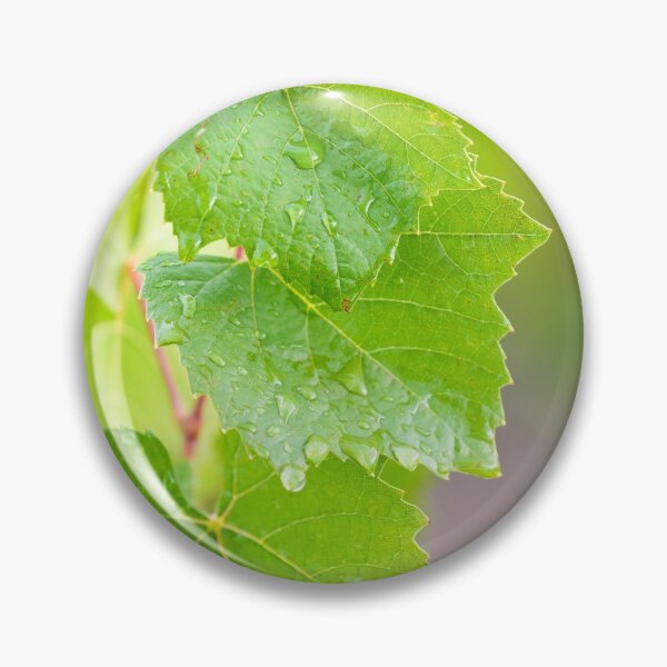 Item preview, Green leaves of vine designed and sold by Gaël FONTAINE.