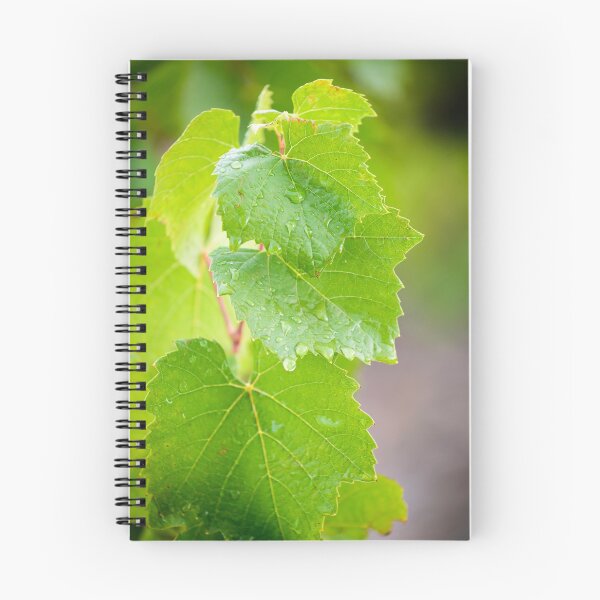 Item preview, Green leaves of vine designed and sold by Gaël FONTAINE.