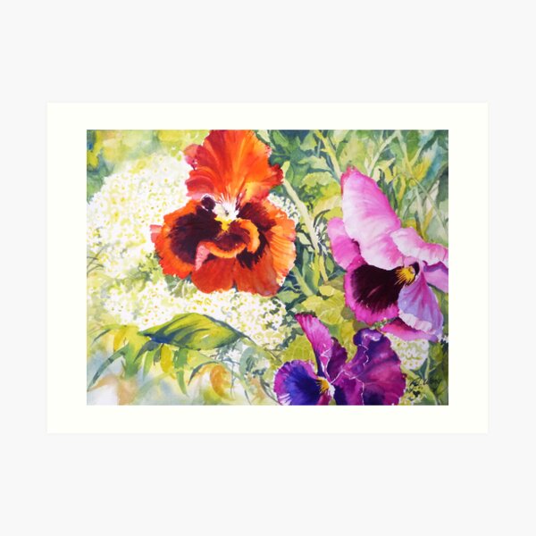 Pansies Delight #2 Art Print