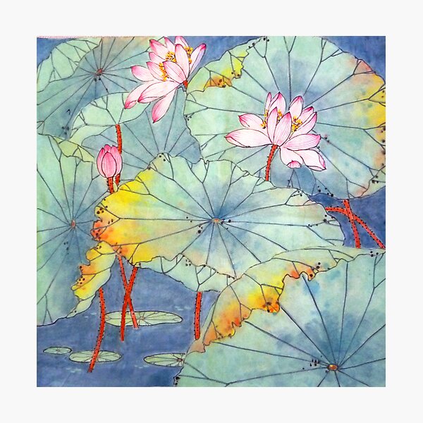 Lotus Glamour Photographic Print